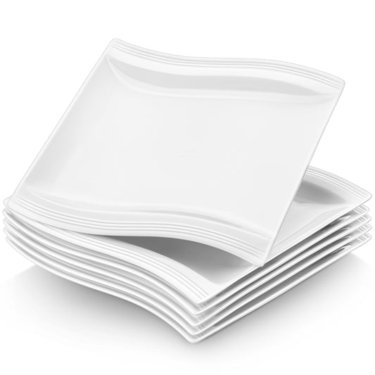 Porcelain Dinner Plates